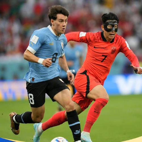 直播:乌拉圭vs韩国