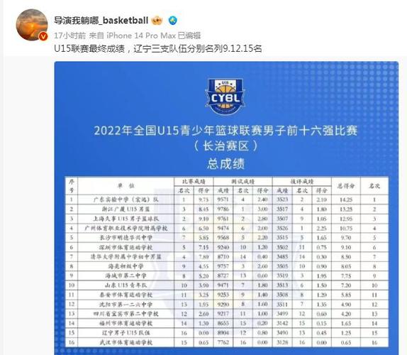 2012中国男篮成绩